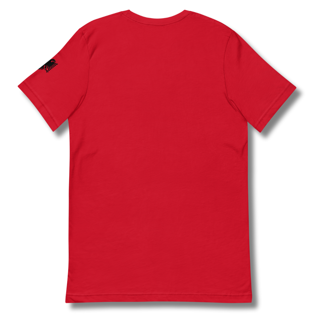 The BASIC T-Shirt