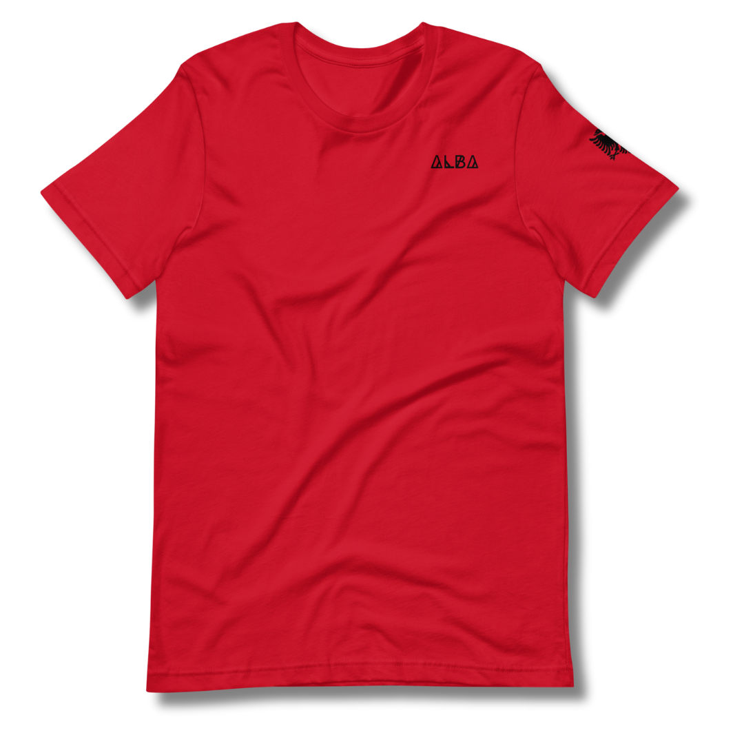 The BASIC T-Shirt