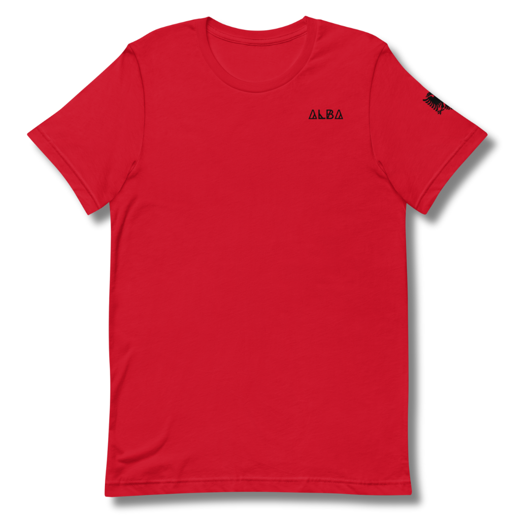 The BASIC T-Shirt